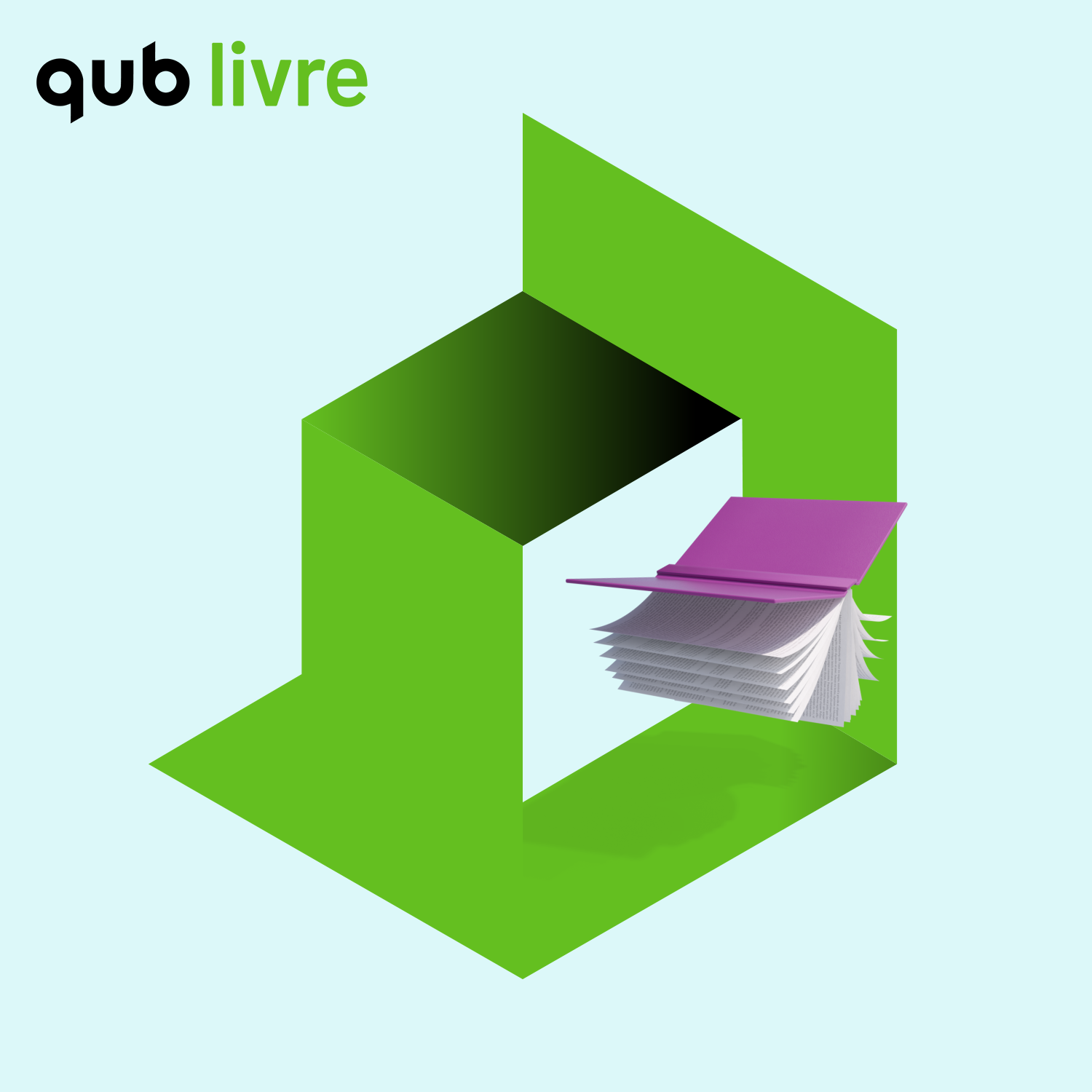 QUB Livre